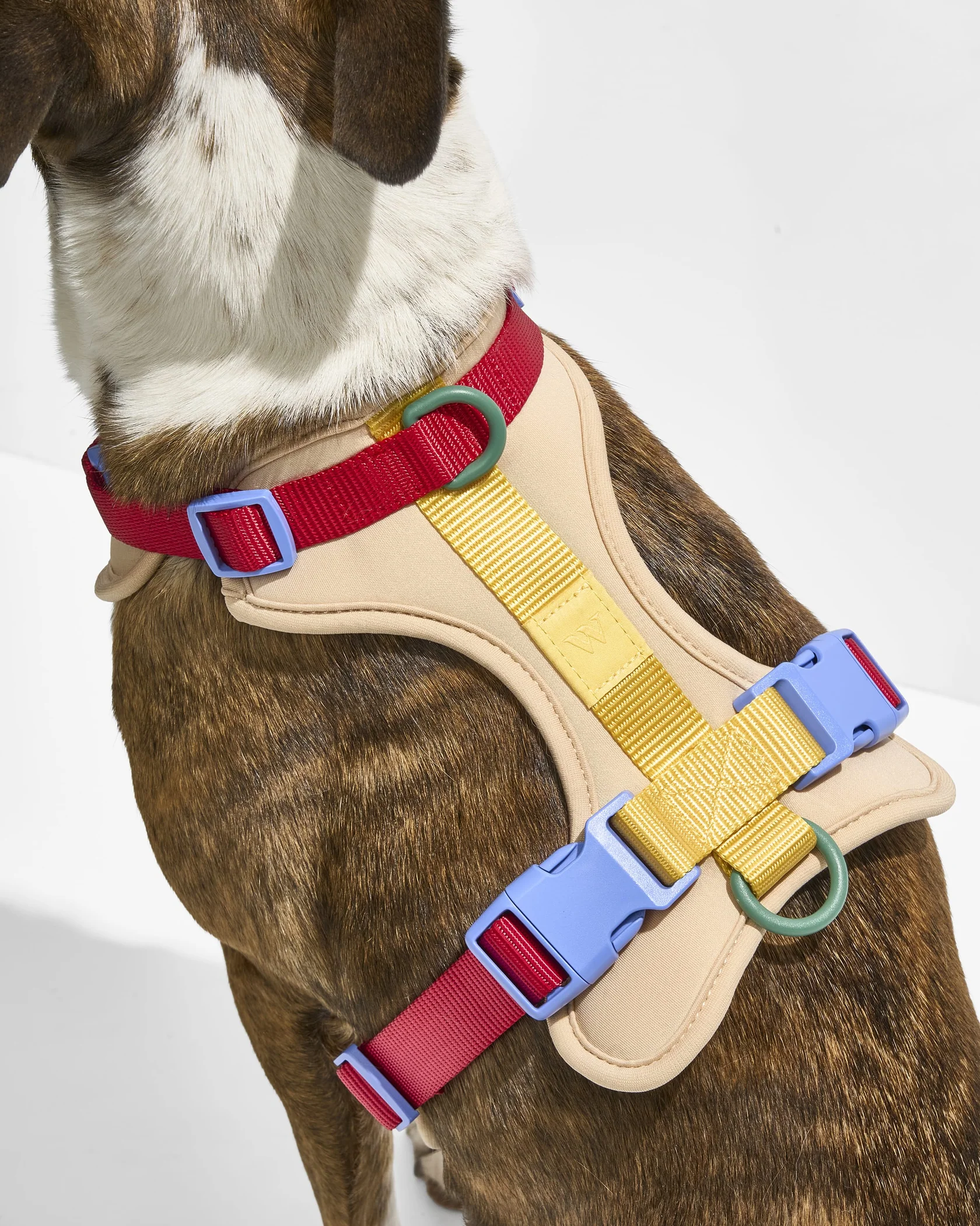 Cushioned Harness + Hands-Free Rope Leash Walk Kit - Image 5
