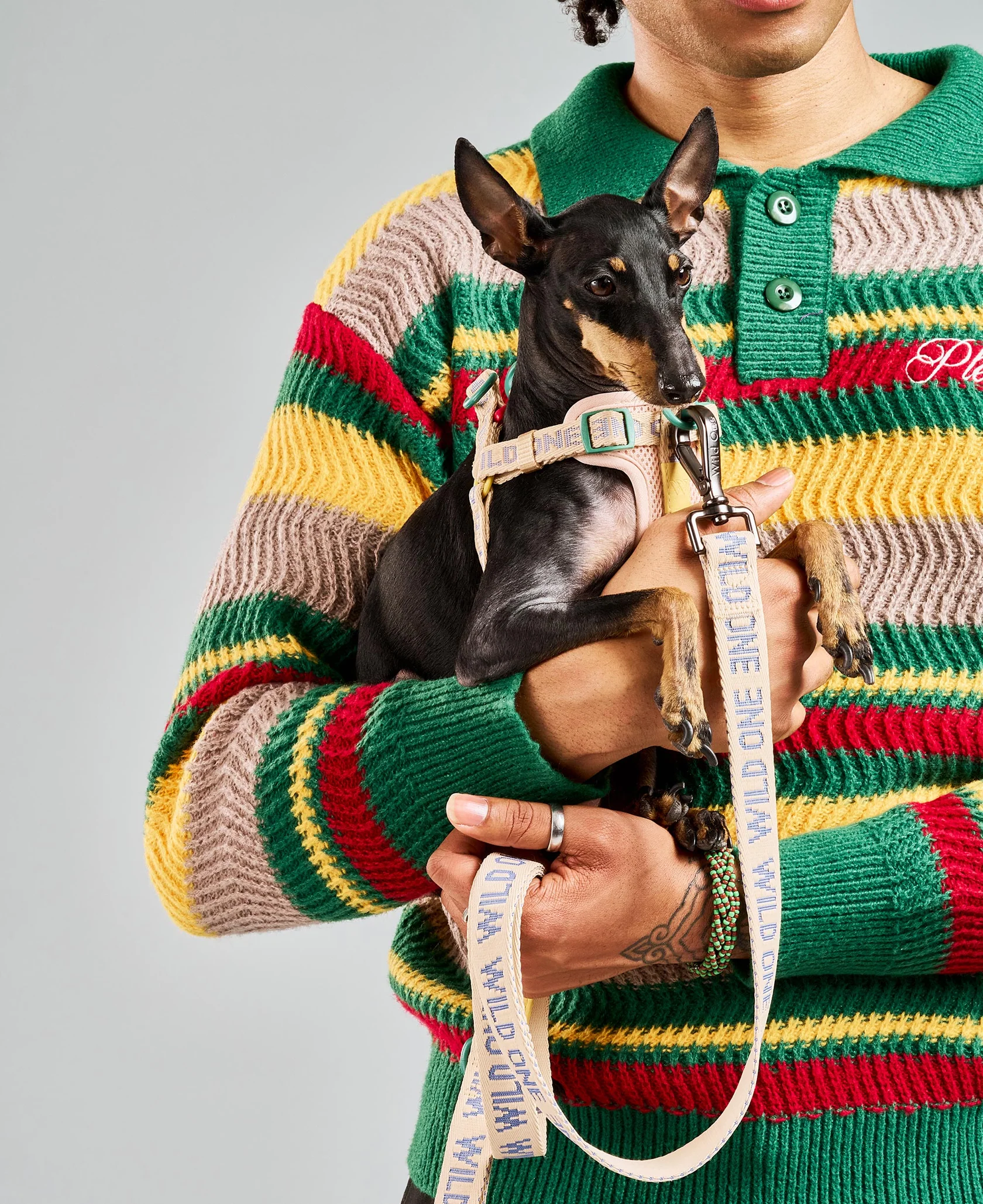 Step-In Dog Harness | Adjustable No-Pull Pet Harness - Image 2