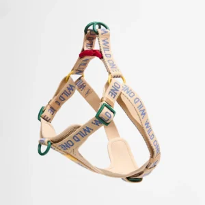Step-In Dog Harness | Adjustable No-Pull Pet Harness