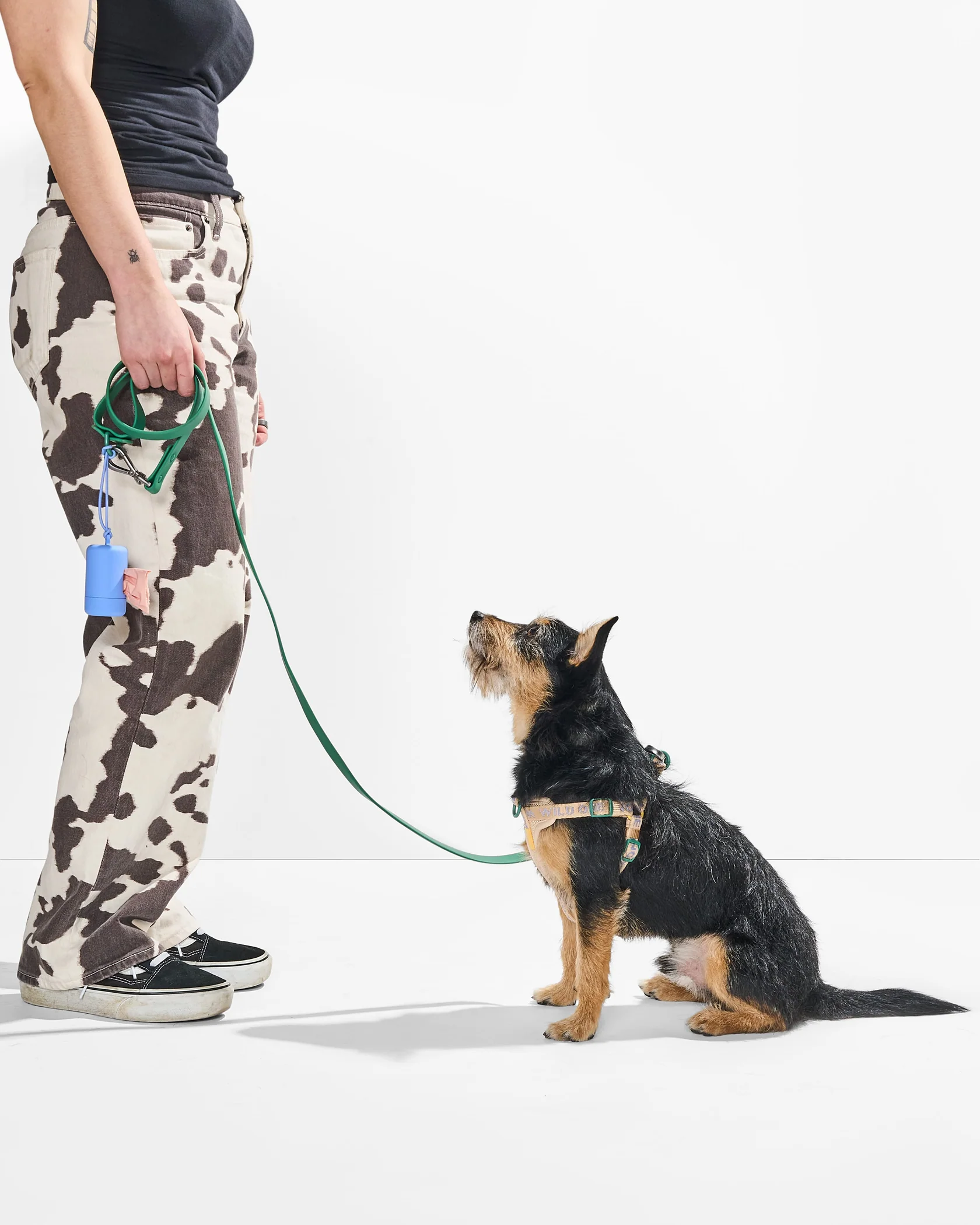 Step-In Harness + Waterproof Leash Walk Kit - Image 2
