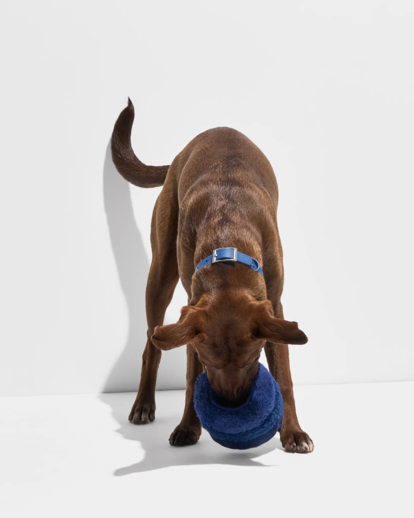 Tennis Tuft - Image 6