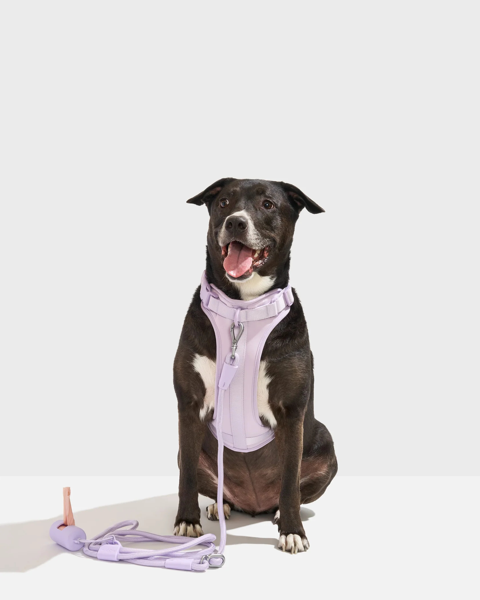 Cushioned Harness + Hands-Free Rope Leash Walk Kit - Image 4