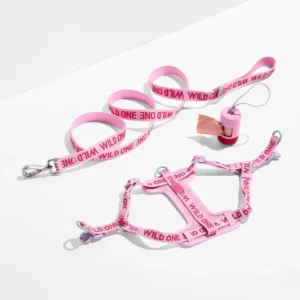 Step-In Harness + Lightweight Leash Walk Kit