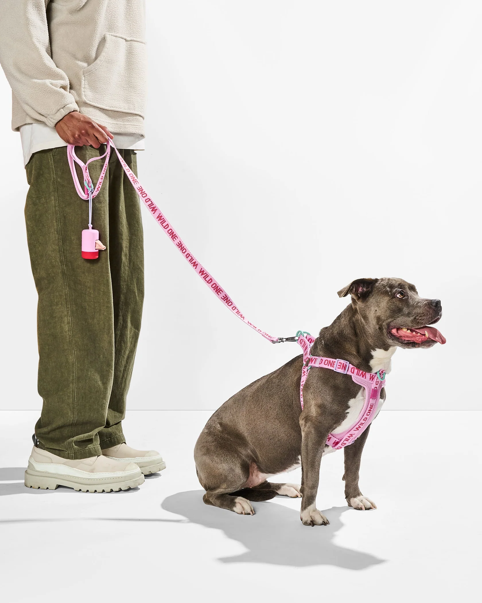 Step-In Harness + Lightweight Leash Walk Kit - Image 6