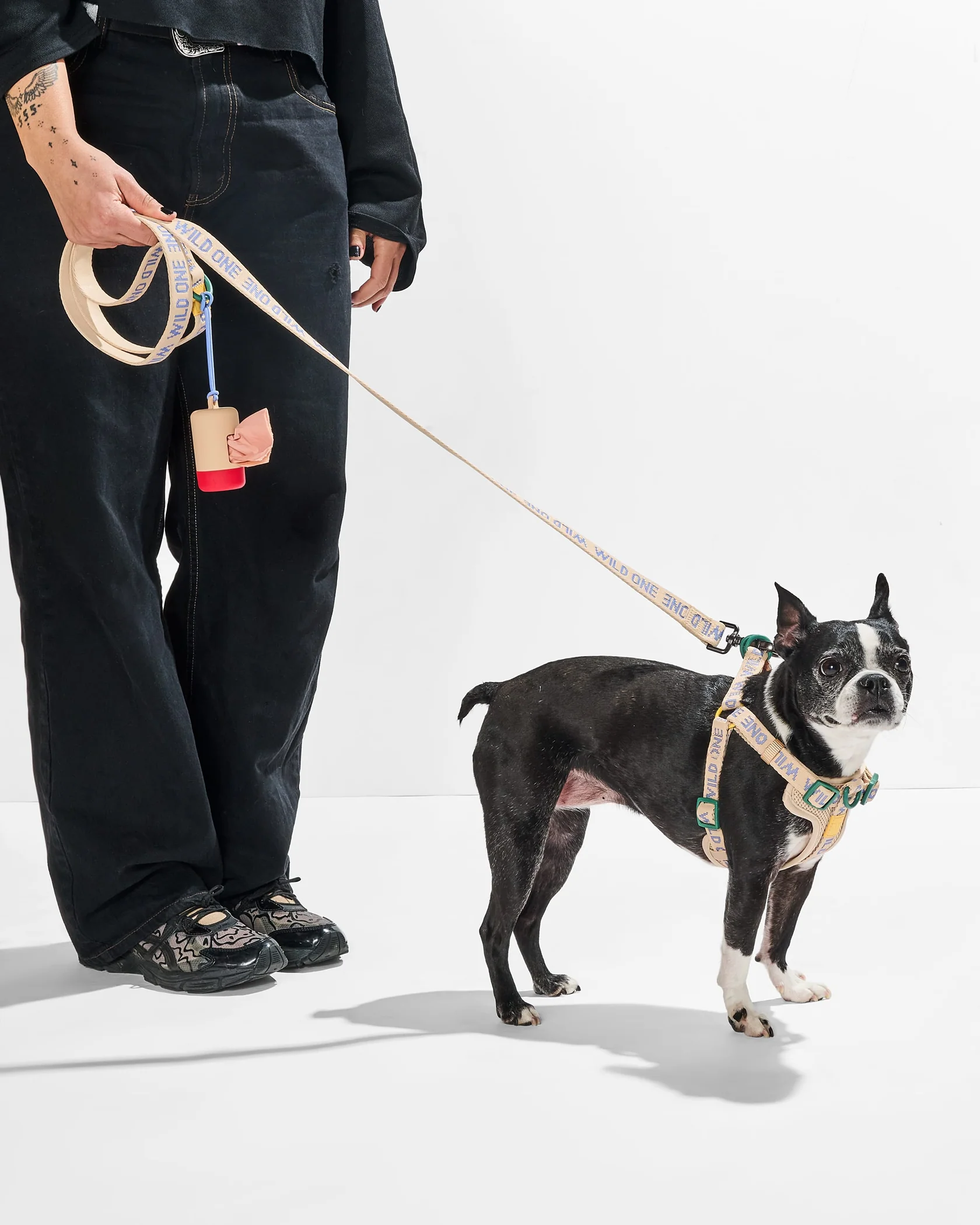 Step-In Harness + Lightweight Leash Walk Kit - Image 4