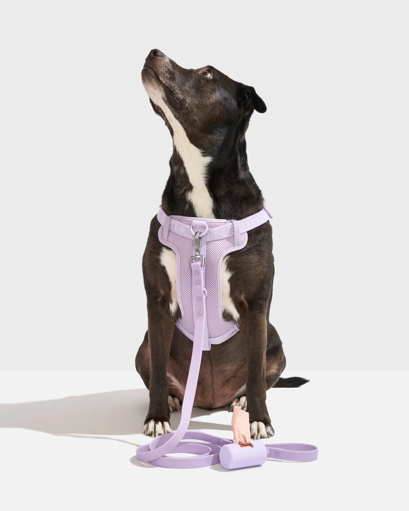 Step-In Harness + Waterproof Leash Walk Kit - Image 5